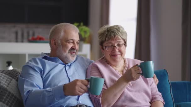 Cónyuges ancianos felices están sentados en el sofá en la sala de estar y beber té, charlando alegremente y riendo, retrato de la vieja pareja casada — Vídeos de Stock