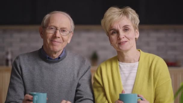 Joyeux vieux couple marié regarde la caméra et agitant les mains pour accueillir, portrait d'interlocuteurs pour le chat en ligne — Video