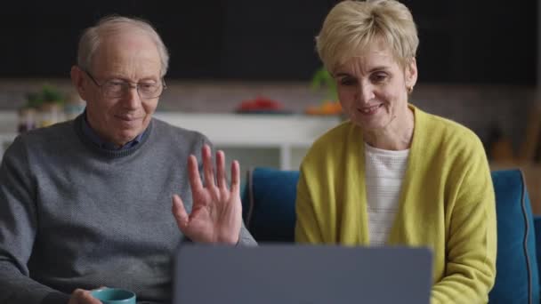 Oud paar is chatten door online video chat in laptop met vrienden of familie, portret van oudere man en vrouw, op zoek naar webcamera van moderne notebook — Stockvideo