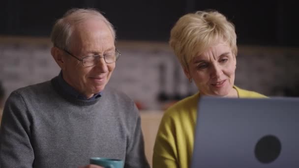 Volti felici di nonna e nonno durante la comunicazione online con la famiglia, i pensionati stanno guardando lo schermo del computer portatile — Video Stock