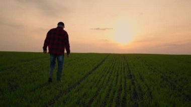 Çiftçi yürüyor ve ekinlerinin başarısına bakıyor. Uzun ve yorucu bir günün ardından yorgun çiftçi.