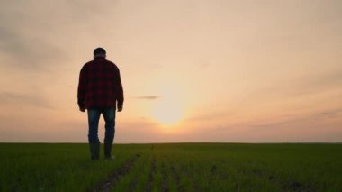 Çiftçi yürüyor ve ekinlerinin başarısına bakıyor. Uzun ve yorucu bir günün ardından yorgun çiftçi.