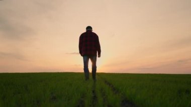 Gün batımında şapkalı yaşlı bir erkek çiftçi uzaklığa bakar. Başarılı bir iş günü konsepti. Bir alanda traktör sürücüsü