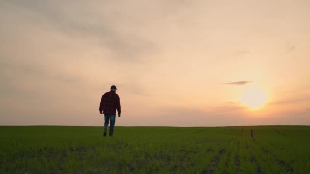 Zurück steht ein älterer Bauer mit Hut bei Sonnenuntergang und blickt in die Ferne. Das Konzept eines erfolgreichen Arbeitstages. Traktorfahrer auf einem Feld — Stockvideo