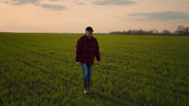 Um agricultor idoso atravessa o campo de botas e a câmera o observa — Vídeo de Stock