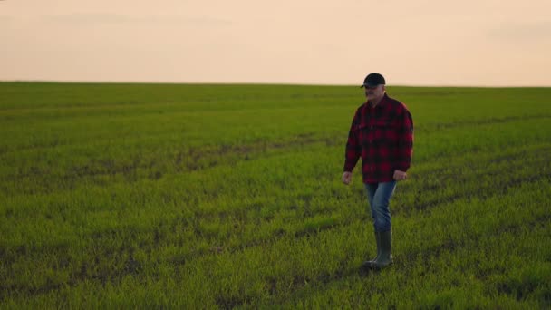 Elderly male farmer in a hat stands at sunset and looks into the distance. The concept of a successful working day. Tractor driver in a field — Stock Video
