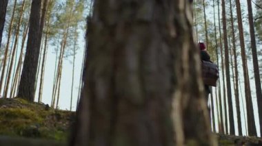 Ağır çekim: Genç siyah Afrikalı kadın sonbaharda ormanda yürüyüş yapıyor. Sırt çantalı, ahşap kaplayan sağlıklı, beyaz bir kadın. Orman manzarası, biyo-turizm boyunca yürüyen kadın gezgin.