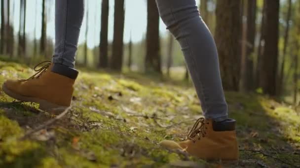 Close-up van vrouwen benen wandelen steil terrein in slow motion. Voeten in wandelschoenen Wandelen op Autumn Road. vrouw voeten volgen op de herfst dag buiten, wandelen door bos — Stockvideo