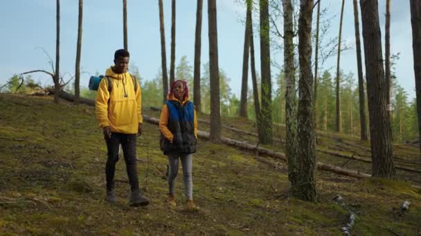 Dos excursionistas afroamericanos con mochila caminando mientras miran el paisaje en el bosque. Pareja negro hombre y mujer tomando móvil viaje explorar salvaje bosques naturaleza en equipo — Vídeo de stock