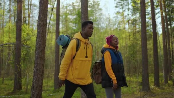 Couple noir tient les mains marchant vers le lac. afro-américain Les gens randonnée, femme et homme ouvrant la voie à la belle montagne dans la forêt — Video