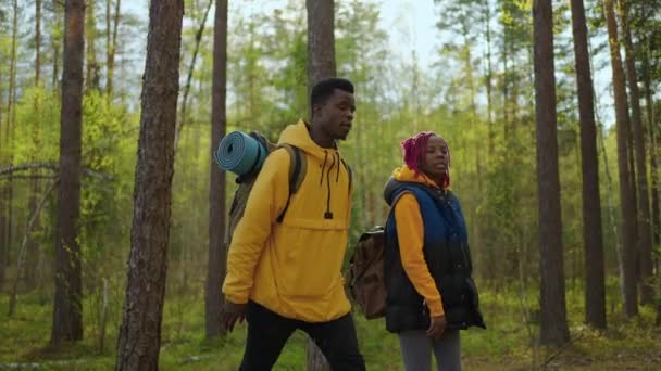 Black Couple tiene le mani a piedi verso il lago. afro-americani escursionismo, donna e uomo che apre la strada alla bella montagna nella foresta — Video Stock