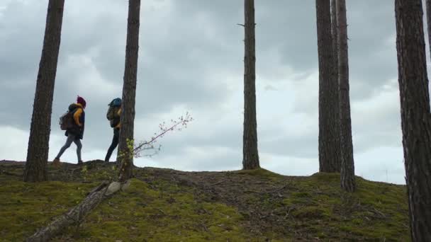 Twee Afrikaans-Amerikaanse reizende wandelaars met rugzak wandelen terwijl ze het landschap in het bos bekijken. Paar zwarte mannen en vrouwen op reis met de mobiele telefoon op ontdekkingstocht door wilde bossen natuur in team — Stockvideo