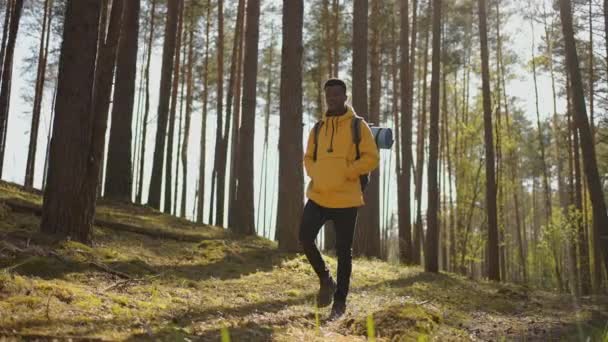 Afro-amerikansk vandrare stilig man med turist ryggsäck utrustning reser ensam. Positiv svart turist utforskar vild natur. — Stockvideo