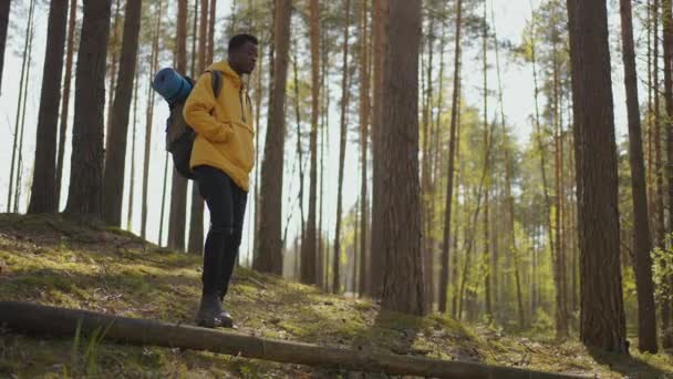 Hombre guapo senderista afroamericano con equipo de mochila turística que viaja solo. Turista negro positivo explora la naturaleza salvaje. — Vídeo de stock