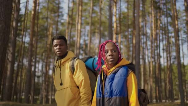 Couple afro-américain randonnée, trekking en forêt avec sacs à dos, profiter de leur aventure concept de tourisme. Homme et femme noirs se marient pour une promenade. Mouvement lent — Video