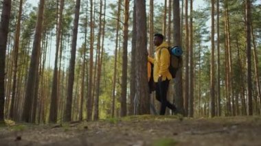 Çekici modern turistler orman tepelerine tırmanan siyah çift uzaktan hayvanları izliyor. Doğal park. Eğlence konsepti. Yavaş çekim yürüyüşü