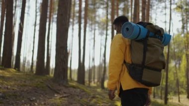 Siyah Afrikalı erkek, yüksek verimli yeşil ormanın tepesinde yürüyüş yapıyor. Güneş ışıkları arkadan vuruyor. Siyah adam orman bölgesini geziyor ve keşfediyor.