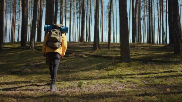 Hombre guapo senderista afroamericano con equipo de mochila turística que viaja solo. Turista negro positivo explora la naturaleza salvaje. — Vídeos de Stock