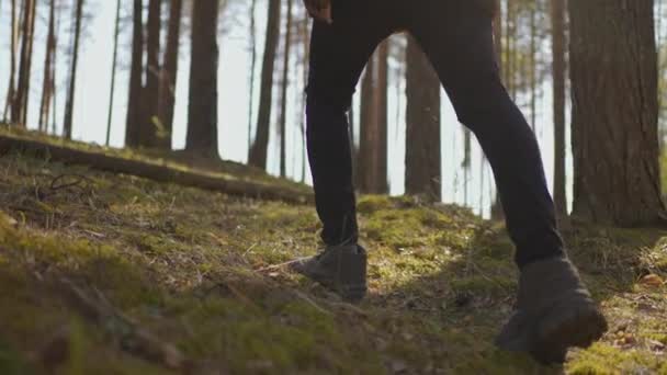 Großaufnahme von Männerbeinen, die in Zeitlupe steiles Gelände durchqueren. Füße in Wanderstiefeln auf der Herbststraße. Mann Füße Tracking am Herbsttag im Freien, zu Fuß durch Wald — Stockvideo