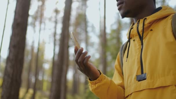 Sorte mænd med rygsæk Brug Smartphone Gps. Afrikanske amerikanske mænd vandre i skoven og skrive besked på Smartphone. Solo mandlige vandrer ved hjælp af smart telefon. Mand vandrer tager smart telefon af skov. – Stock-video