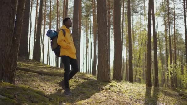 Africano negro hombre sube cuesta arriba en los bosques en chaqueta amarilla con mochila en cámara lenta — Vídeos de Stock