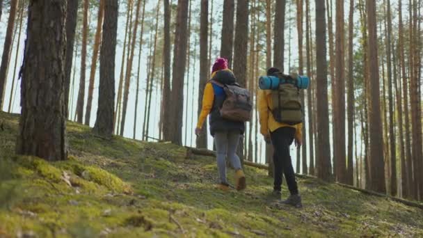 Afro-amerykańskiej pary piesze wędrówki, trekking w lesie z plecakami, korzystających z ich przygody - koncepcji turystyki. Czarny mężczyzna i kobieta idą na spacer. Zwolniony ruch — Wideo stockowe