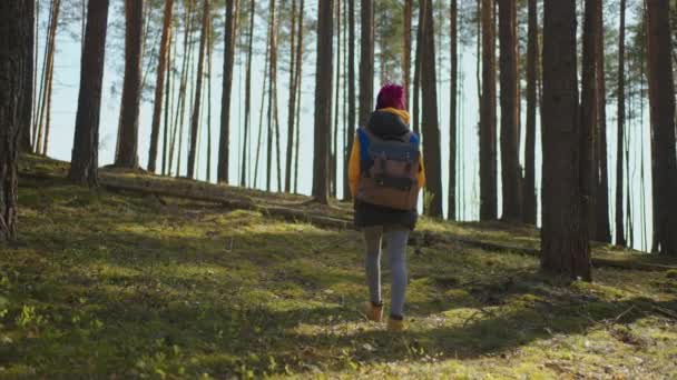 Cámara lenta: Joven africana negra Senderismo en el bosque en otoño. Mujer caucásica sana activa con una mochila que toma madera. Viajero femenino con caminatas a lo largo de la vista trasera del bosque, bio-turismo — Vídeo de stock