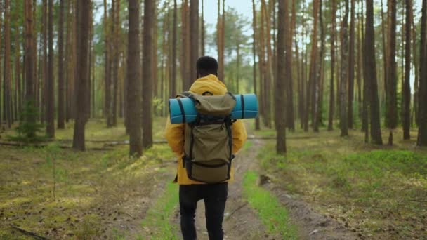 Hombre guapo senderista afroamericano con equipo de mochila turística que viaja solo. Turista negro positivo explora la naturaleza salvaje. — Vídeos de Stock