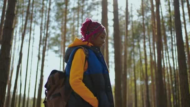 Cámara lenta: Joven africana negra Senderismo en el bosque en otoño. Mujer caucásica sana activa con una mochila que toma madera. Viajero femenino con caminatas a lo largo de la vista trasera del bosque, bio-turismo — Vídeos de Stock