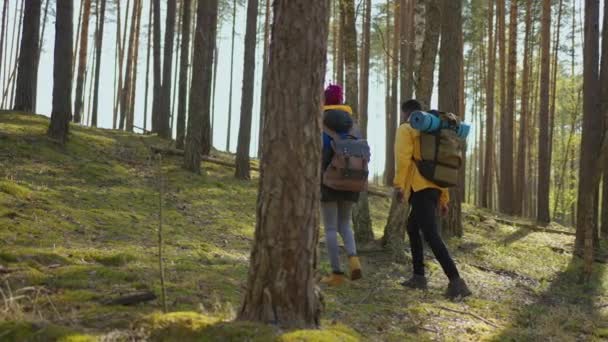 Afro-amerykańskiej pary piesze wędrówki, trekking w lesie z plecakami, korzystających z ich przygody - koncepcji turystyki. Czarny mężczyzna i kobieta idą na spacer. Zwolniony ruch — Wideo stockowe