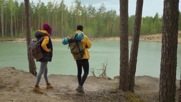 Twee Afrikaans-Amerikaanse reizende wandelaars met rugzak wandelen terwijl ze het landschap in het bos bekijken. Paar zwarte mannen en vrouwen op reis met de mobiele telefoon op ontdekkingstocht door wilde bossen natuur in team — Stockvideo
