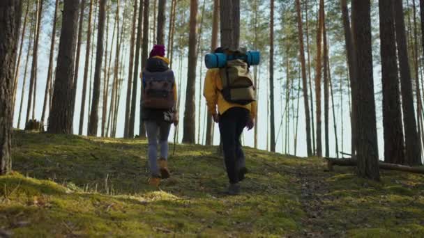 Atrakcyjni, nowoczesni turyści czarna para wspinaczka po leśnych wzgórzach obserwująca zwierzęta w oddali. Naturalny park. Koncepcja rekreacji. Spowolniony chód — Wideo stockowe