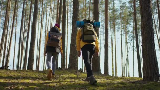 Aantrekkelijke moderne toeristen zwart koppel wandelen op bos heuvels kijken dieren in de verte. Natuurpark. Recreatieconcept. Langzame beweging lopen — Stockvideo