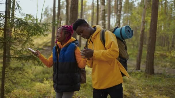 Ein junges, stylisches Touristenpaar, das in der Parkkarte mit dem Handy herumläuft und sich umschaut und unterhält. Konzept für Wanderungen und Outdoor-Aktivitäten. Zeitlupe — Stockvideo