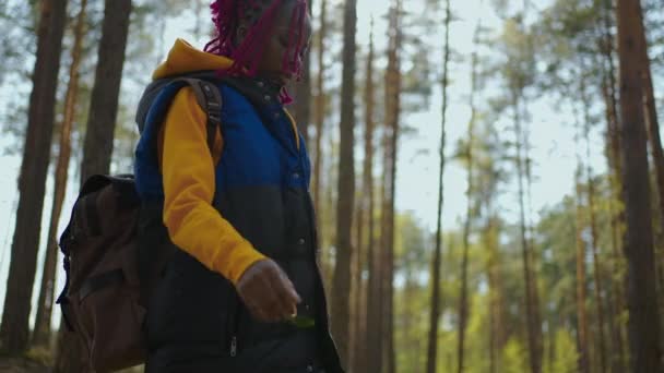 Zeitlupe: Junge Schwarzafrikanerin wandert im Herbst im Wald Aktive, gesunde Kaukasierin mit einem Rucksack, der Holz aufnimmt. Weibliche Reisende mit Spaziergängen entlang der Waldrückseite, Bio-Tourismus — Stockvideo