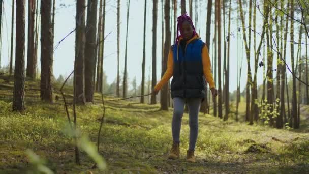 Wędrowiec afrykański czarny Backpacker kobieta na wędrówki przygoda uczucie wolności spaceru w lesie, Kobieta cieszyć się wakacjami w pobliżu wielu drzew. Zwolniony ruch — Wideo stockowe
