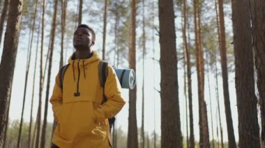 Turist sırt çantası teçhizatıyla yalnız seyahat eden Afro-Amerikan yürüyüşçü yakışıklı bir adam. Pozitif siyah turist vahşi doğayı keşfediyor.