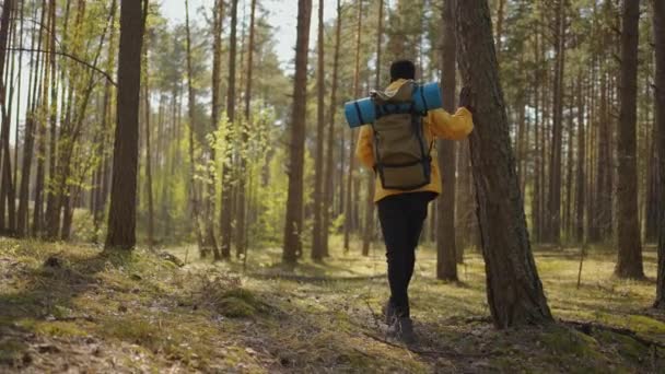 Black african male hiking on trail up peaceful lush high elevation green forest with sun flares tracking shot from behind. Homme noir randonnée et exploration de la forêt — Video