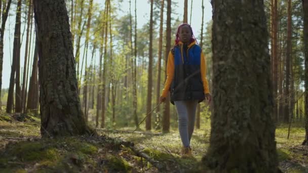 Hiker african black backpacker woman on hiking adventure feeling freedom walking in forest, Female enjoy her holidays near lots of tree. Slow motion — Stock Video