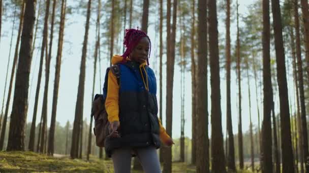 Cámara lenta: Joven africana negra Senderismo en el bosque en otoño. Mujer caucásica sana activa con una mochila que toma madera. Viajero femenino con caminatas a lo largo de la vista trasera del bosque, bio-turismo — Vídeos de Stock