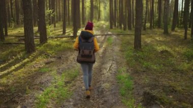Ağır çekim: Genç siyah Afrikalı kadın sonbaharda ormanda yürüyüş yapıyor. Sırt çantalı, ahşap kaplayan sağlıklı, beyaz bir kadın. Orman manzarası, biyo-turizm boyunca yürüyen kadın gezgin.