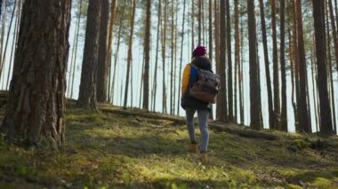 Turist sırt çantalı mutlu, güzel bir kadın yaz ormanlarında tek başına geziyor vahşi doğa Afrika safarisinin tadını çıkarıyor yalnız başına. Portreler