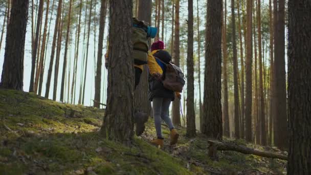 Pareja afro-americana senderismo, trekking en el bosque con mochilas, disfrutar de su aventura - concepto de turismo. Hombres y mujeres negros salen a dar un paseo. Movimiento lento — Vídeos de Stock