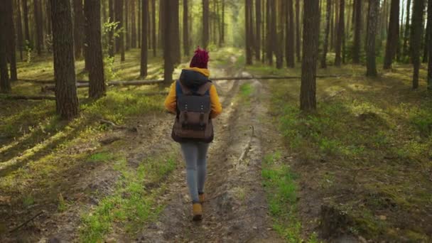 Медленное движение: Молодая чернокожая африканская женщина Пешие прогулки в лесу осенью. Активная белая женщина с рюкзаком в дереве. Женщина-путешественница с прогулками вдоль леса вид сзади, био-туризм — стоковое видео