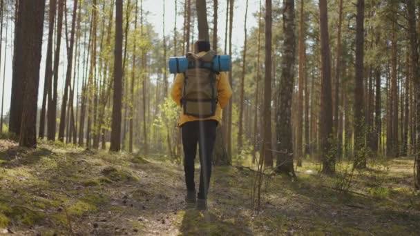 Hombre guapo senderista afroamericano con equipo de mochila turística que viaja solo. Turista negro positivo explora la naturaleza salvaje. — Vídeo de stock