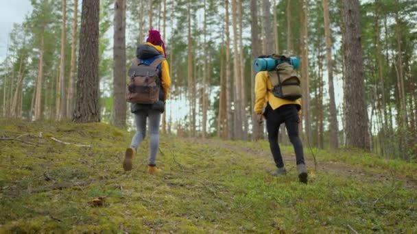 Ein junges, stylisches Touristenpaar, das in der Parkkarte mit dem Handy herumläuft und sich umschaut und unterhält. Konzept für Wanderungen und Outdoor-Aktivitäten. Zeitlupe — Stockvideo