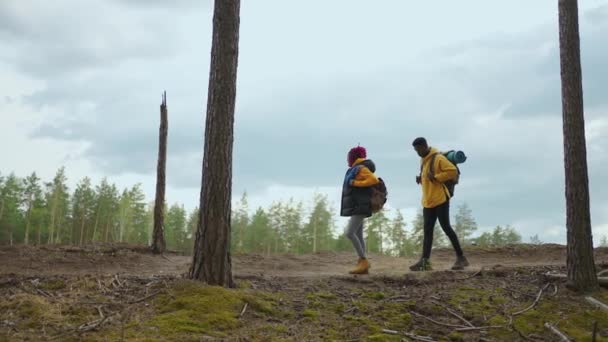 Zwei afrikanisch-amerikanische Reisewanderer mit Rucksack spazieren, während sie die Landschaft im Wald betrachten. Paar schwarzer Mann und Frau mit Handy unterwegs, um im Team wilde Wälder zu erkunden — Stockvideo