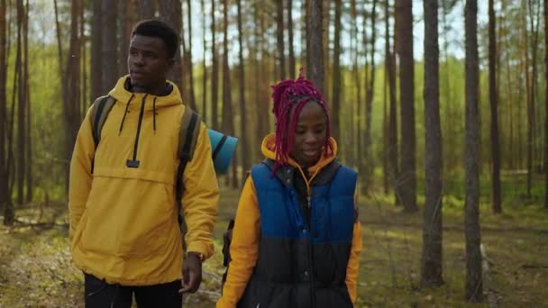 Black Couple houdt handen vast die naar het meer lopen. Afrikaans amerikaans volk wandelen, vrouw en man leidt de weg naar prachtige berg in het bos — Stockvideo