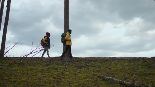 Joven pareja elegante de turistas caminando en el mapa del parque en el teléfono móvil mirando a su alrededor y hablando. Concepto de senderismo y actividades al aire libre. Movimiento lento — Vídeos de Stock