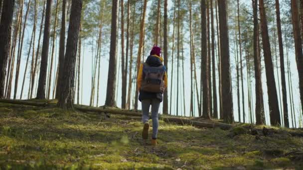 一个心情愉快的漂亮女人，背着旅游背包一个人在夏日的森林里散步，野生大自然独享非洲探险之旅。肖像画 — 图库视频影像